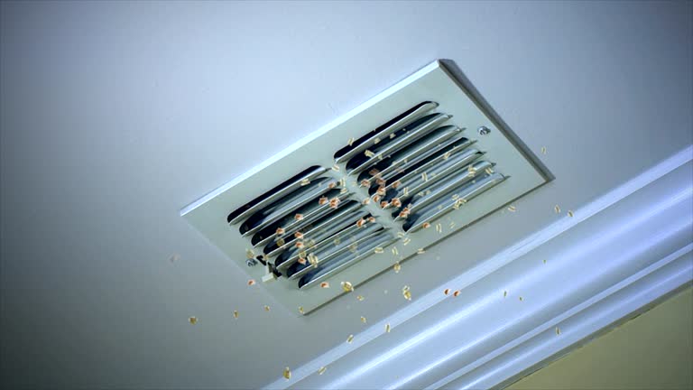 Best HVAC Duct Inspection Services  in East Chicago, IN